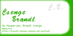 csenge brandl business card